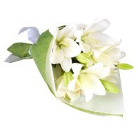 Online White Lily Flower Delivery in India with Rakhi