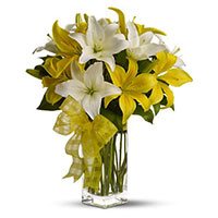 Deliver Rakhi with White Yellow Lily Vase 6 Flower in India