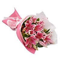 Flowers Delivery to India at Midnight : Pink Lily to India