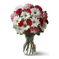 Mix Gerbera Carnation in Vase 24 Flowers with 2 Free Rakhi Delivery in India on Rakhi