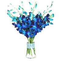Rakhi and Blue Orchid Vase 12 Flowers Stem to India on Rakhi