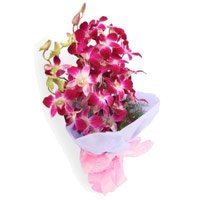 Send Purple Orchid Bunch and Rakhi Delivery in India
