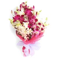 Send Valentine's Day Flowers Exotic Bunch of 20 Purple - White Orchids