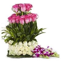 Buy 20 Pink Rose 25 White Rose 6 Orchids Flower Basket to India
