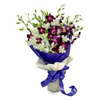 Send Purple White Orchid Bunch 10 Flowers Stem with 2 Free Rakhi delivery in India on Rakhi