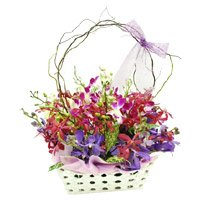 Same Day Mixed Orchid Basket 12 Flowers Stem with Rakhi Delivery in India