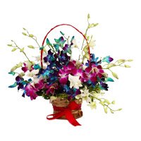 Send Rakhi with Mixed Orchid Basket