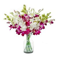 Order Rakhi and Purple White Orchid in Vase 10 Flowers to India on Raksha Bandhan