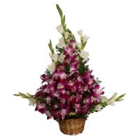 Rakhi Flower Delivery Orchids and 10 Glads Arrangement with Rakhi in India