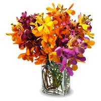 Rakhi with Mixed Orchid Flower Vase Delivery in India
