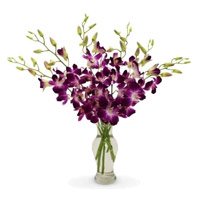 Send Purple Orchid Vase with Rakhi to India