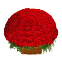 Send FRed Roses Basket 500 Flowers to India For Valentine's Day