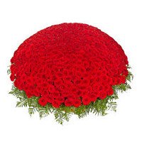 Valentine's Day Red Roses Basket 1000 Flowers to India