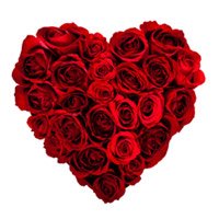 Valentine's Day Flowers to Srinagar