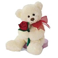 Send Online Birthday Gifts to Lucknow
