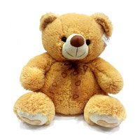 12 Inch Valentine's Day Teddy Bear - Soft Toys