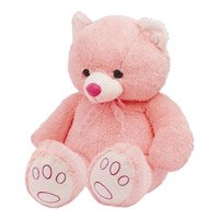 16 Inch Valentine's Day Teddy Bear - Soft Toys to India