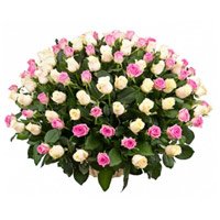Send White Pink Roses Basket 100 Flowers