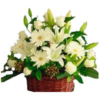 White Lily Roses Gerbera Basket 20 Flowers with Rakhi in India on Rakhi
