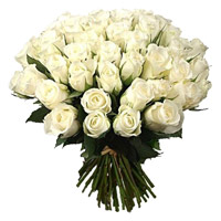 Deliver Flowers to India : 50 White Roses