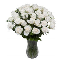 Deliver Flowers to India : White Roses