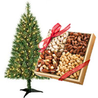 Send Christmas Tree with Gifts to India
