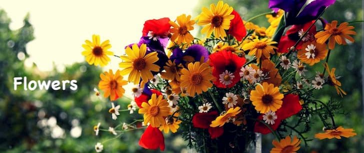 Flowers to Madhya Pradesh